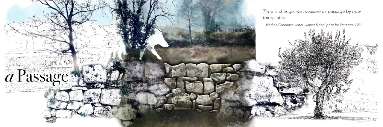 Provençal landscape with dry stone wall